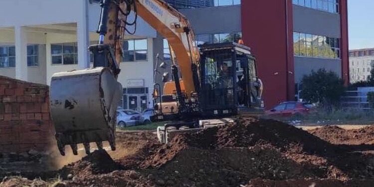 viber_image_2024-11-20_13-19-12-487